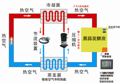 家用黑蒜发酵箱价格